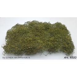 Rovi Cespugli fioritura gialla